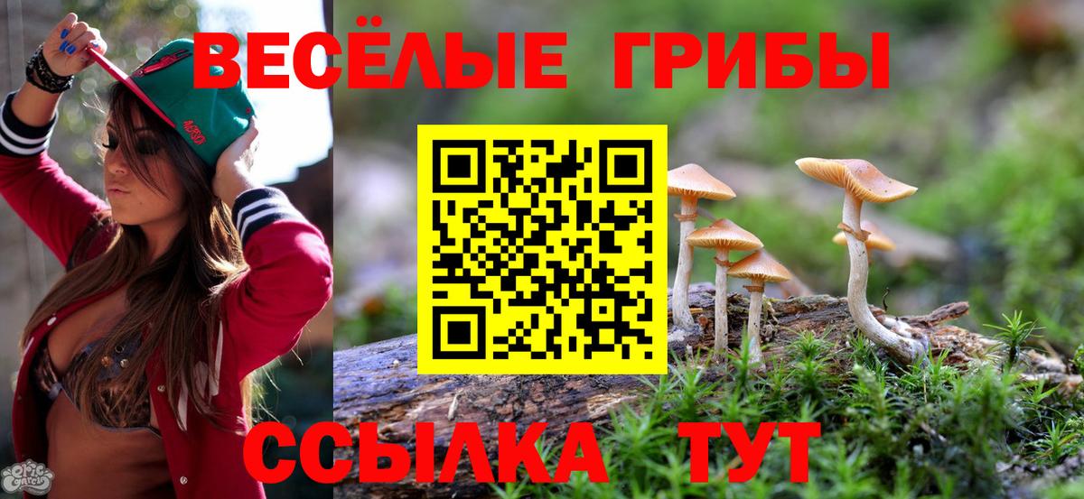 Галлюциногенные грибы мицелий  Псилоцибиновые грибы мухоморы  Щёкино  Вход с VPN 