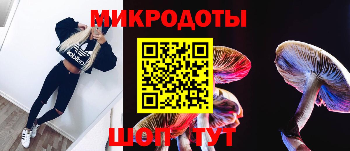 Псилоцибиновые грибы Psilocybe Щёкино